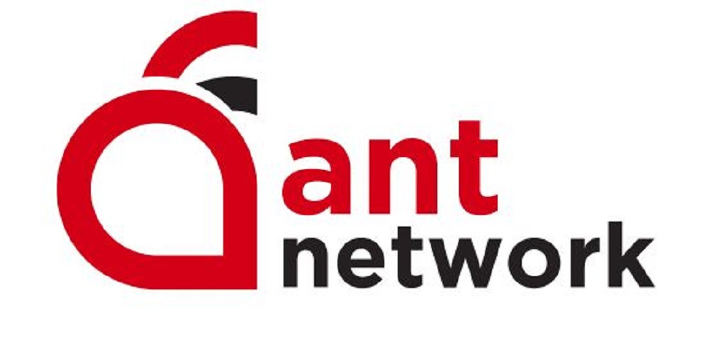 Ant network